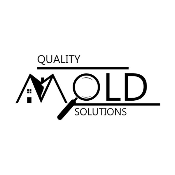 Quality Mold Solutions